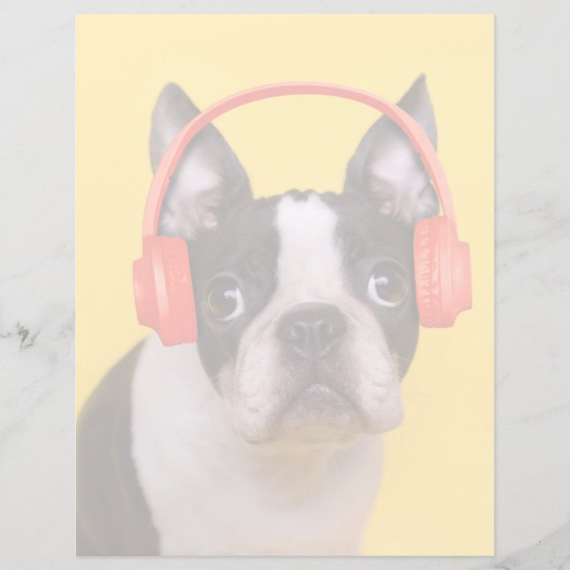 Cutest Baby djur | Boston Terrier-hörlurar (Framsida)