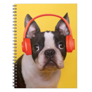 Cutest Baby djur Boston Terrier-hörlurar Anteckningsbok