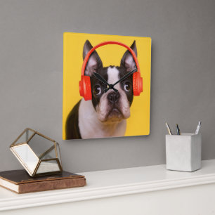 Cutest Baby djur Boston Terrier-hörlurar Fyrkantig Klocka