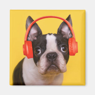 Cutest Baby djur Boston Terrier-hörlurar Magnet