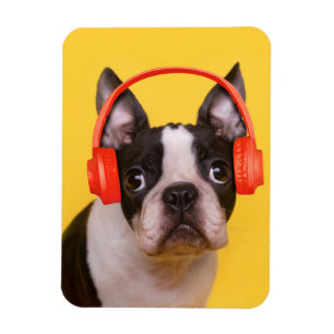 Cutest Baby djur Boston Terrier-hörlurar Magnet
