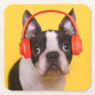Cutest Baby djur Boston Terrier-hörlurar Underlägg Papper Kvadrat