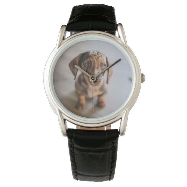 Cutest Baby djur | Brown Dachshund Puppy Armbandsur (Framsida)