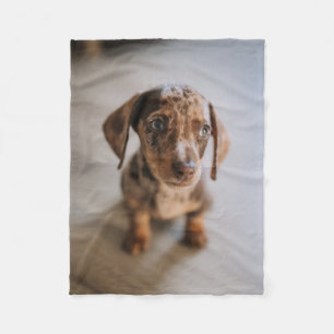 Cutest Baby djur   Brown Dachshund Puppy Fleecefilt