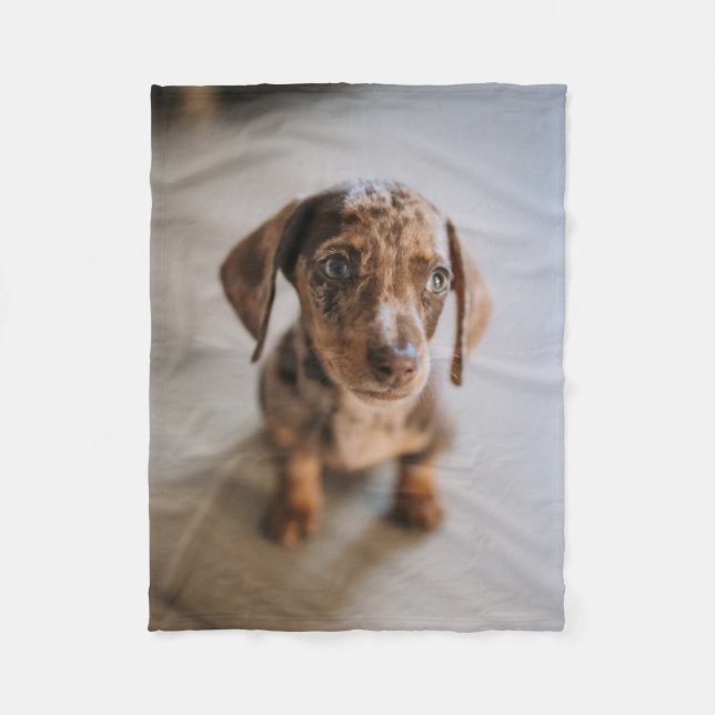 Cutest Baby djur | Brown Dachshund Puppy Fleecefilt (Framsidan)