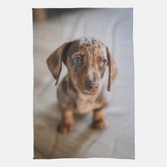 Cutest Baby djur | Brown Dachshund Puppy Kökshandduk (Vertikal)