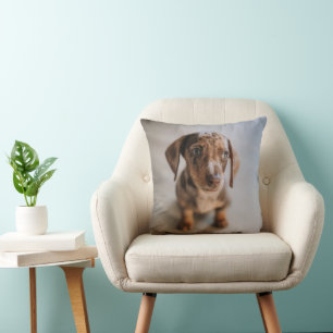 Cutest Baby djur Brown Dachshund Puppy Kudde