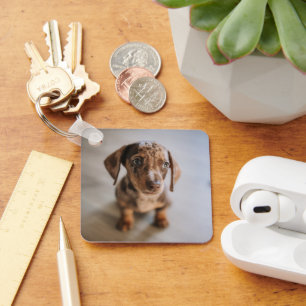 Cutest Baby djur Brown Dachshund Puppy Nyckelring