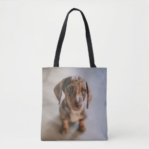 Cutest Baby djur   Brown Dachshund Puppy Tygkasse
