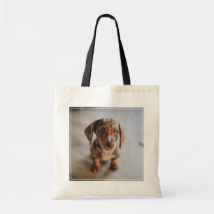 Cutest Baby djur   Brown Dachshund Puppy Tygkasse
