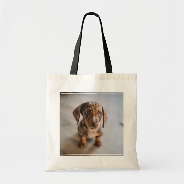 Cutest Baby djur | Brown Dachshund Puppy Tygkasse (Framsidan)