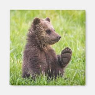 Cutest Baby djur Brunbjörn Unge Wave Magnet