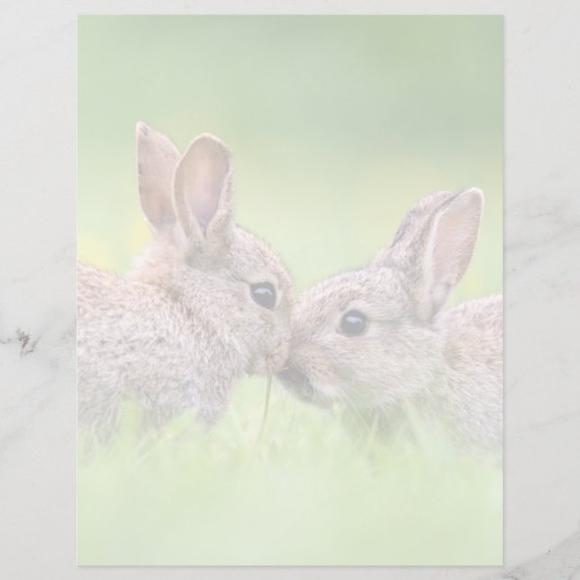Cutest Baby djur | Bunny Kiss (Framsida)