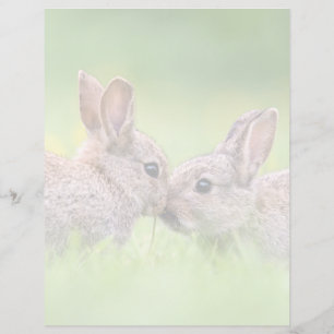 Cutest Baby djur Bunny Kiss