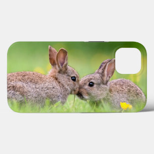 Cutest Baby djur Bunny Kiss