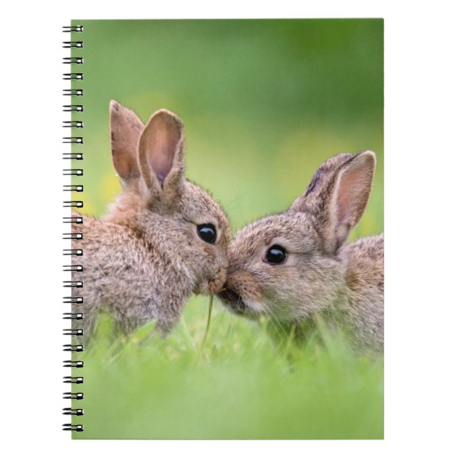 Cutest Baby djur | Bunny Kiss Anteckningsbok (Framsidan)