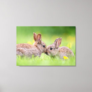 Cutest Baby djur Bunny Kiss Canvastryck