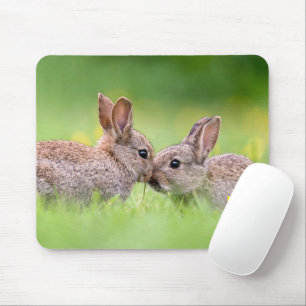 Cutest Baby djur Bunny Kiss Musmatta