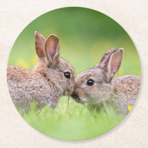 Cutest Baby djur Bunny Kiss Underlägg Papper Rund