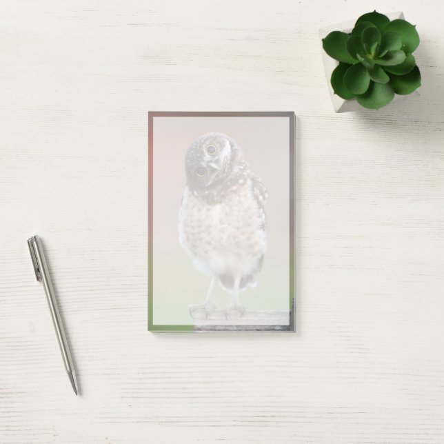 Cutest Baby djur | Burrowing Uggla Owlet Post-it Block (Kontor)