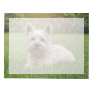 Cutest Baby djur Cairn Terrier Hund Anteckningsblock