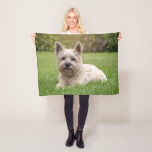 Cutest Baby djur Cairn Terrier Hund Fleecefilt