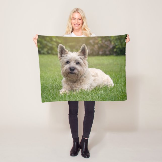 Cutest Baby djur | Cairn Terrier Hund Fleecefilt (På plats)