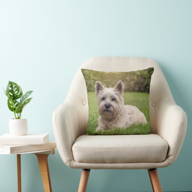 Cutest Baby djur | Cairn Terrier Hund Kudde (Stol)