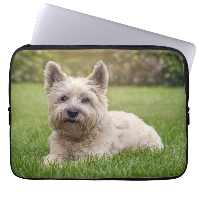 Cutest Baby djur | Cairn Terrier Hund Laptop Fodral (Framsidan)