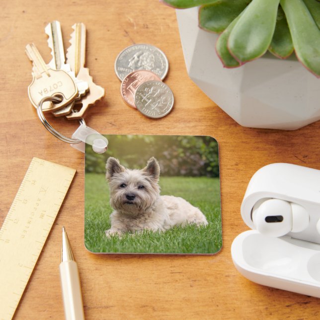 Cutest Baby djur | Cairn Terrier Hund Nyckelring (Skrivbord)