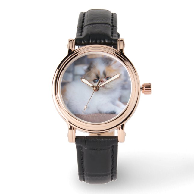 Cutest Baby djur | Calico Persian Kitten Armbandsur (Framsida)