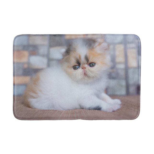 Cutest Baby djur | Calico Persian Kitten Badrumsmatta (Framsidan)