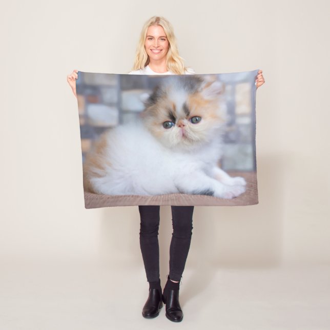 Cutest Baby djur | Calico Persian Kitten Fleecefilt (På plats)