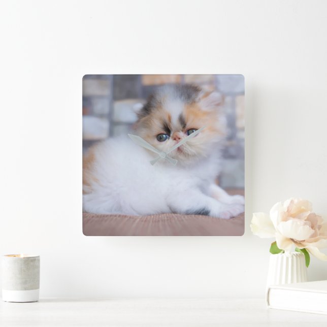 Cutest Baby djur | Calico Persian Kitten Fyrkantig Klocka (Hem)