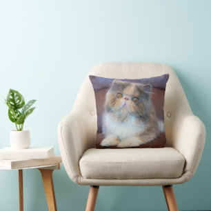 Cutest Baby djur Calico Persian Kitten Kudde