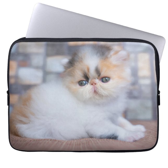 Cutest Baby djur | Calico Persian Kitten Laptop Fodral (Framsidan)