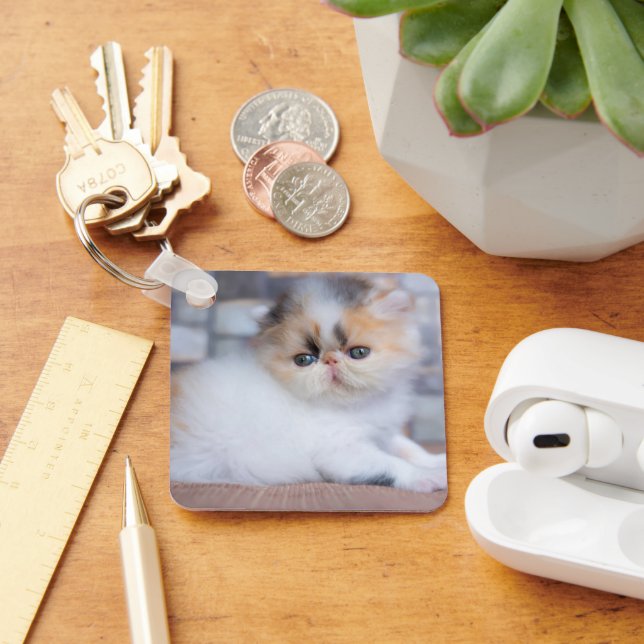 Cutest Baby djur | Calico Persian Kitten Nyckelring (Skrivbord)