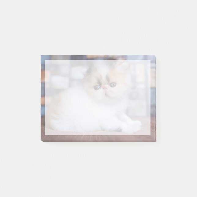 Cutest Baby djur | Calico Persian Kitten Post-it Block (Framsida)