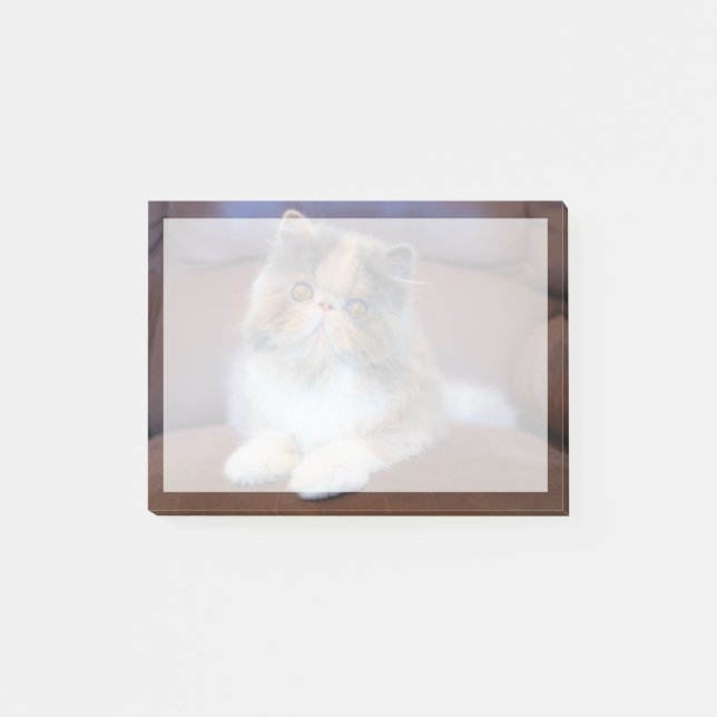 Cutest Baby djur | Calico Persian Kitten Post-it Block (Framsida)