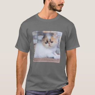 Cutest Baby djur Calico Persian Kitten T Shirt