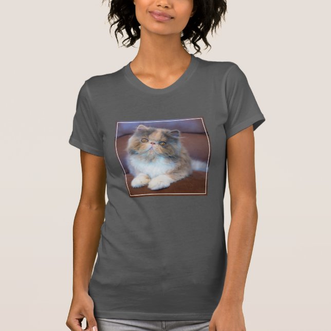 Cutest Baby djur | Calico Persian Kitten T Shirt (Framsida)