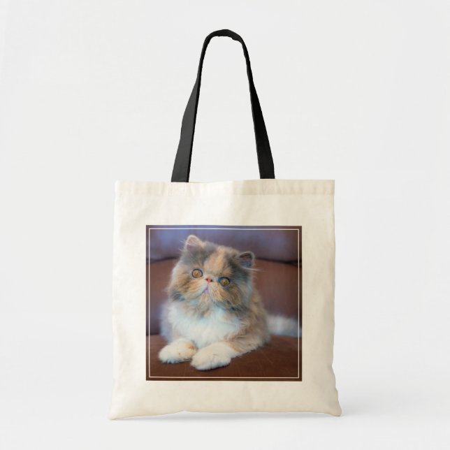 Cutest Baby djur | Calico Persian Kitten Tygkasse (Framsidan)