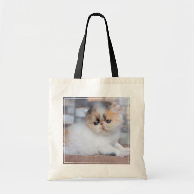 Cutest Baby djur | Calico Persian Kitten Tygkasse (Framsidan)