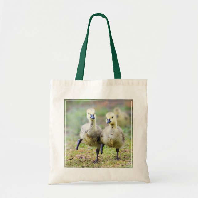 Cutest Baby djur | Canadian Goose Goslings Tygkasse (Framsidan)