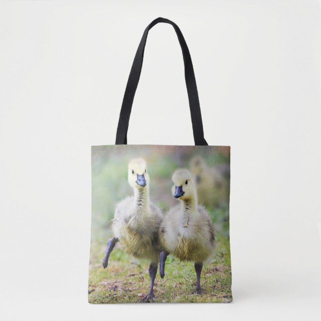Cutest Baby djur | Canadian Goose Goslings Tygkasse (Framsida)