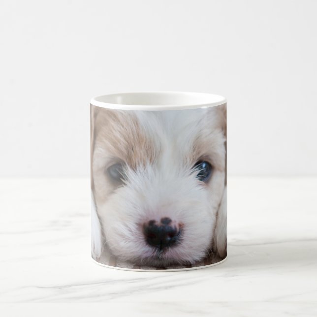 Cutest Baby djur | Cavashon Puppy Kaffemugg (Center)