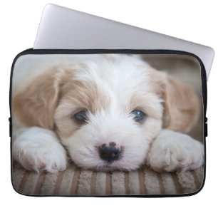 Cutest Baby djur Cavashon Puppy Laptop Fodral