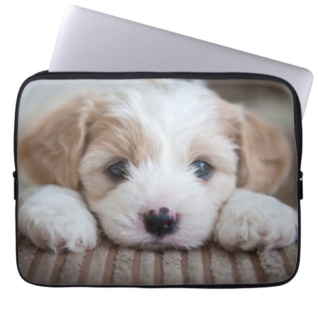 Cutest Baby djur | Cavashon Puppy Laptop Fodral (Framsidan)