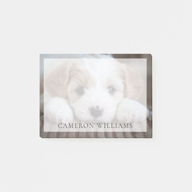 Cutest Baby djur | Cavashon Puppy Post-it Block (Framsida)