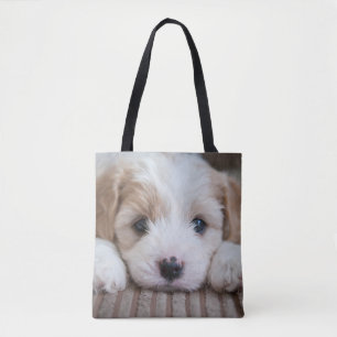 Cutest Baby djur Cavashon Puppy Tygkasse